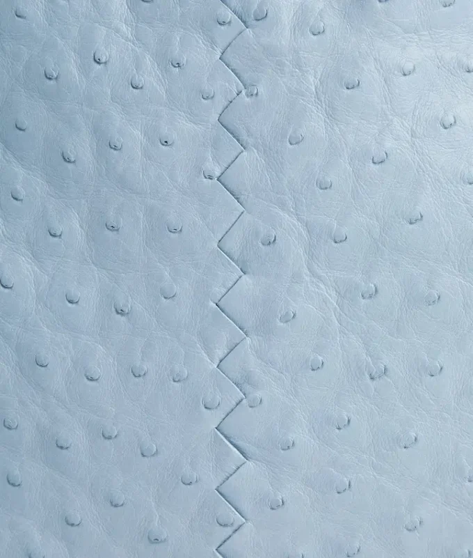 Dustbag
