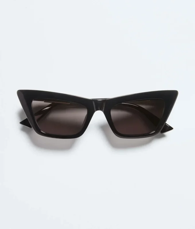 Snap Cat Eye Sunglasses