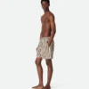 Stripe Nylon Swim Shorts